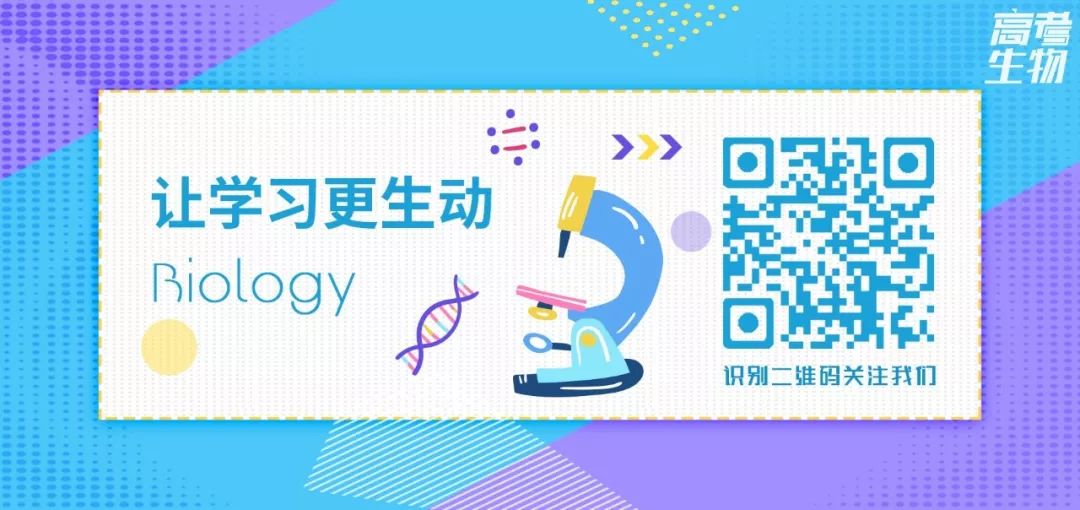 2024高考生物考点知识填空!(36) 第1张