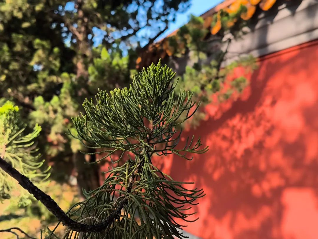 3月14日·中考倒计时打卡 第1张 3月14日·中考倒计时打卡 第1张