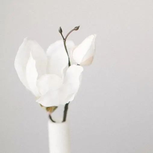 中考满分作文两篇:《三春晖》《不再迷失》 第1张