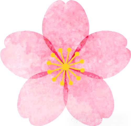 沧海登峰砺意志,中考逐梦展风华——沧海中队大罗山远足暨中考百日誓师活动小记 第185张 沧海登峰砺意志,中考逐梦展风华——沧海中队大罗山远足暨中考百日誓师活动小记 第185张