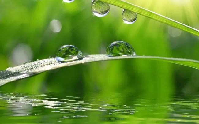 中考一轮复习诗词鉴赏阅读(七年级下) 第2张 中考一轮复习诗词鉴赏阅读(七年级下) 第2张