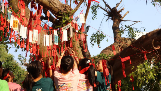 热辣滚烫100天,决胜中考,圆梦六月 ——儋州市松涛中学2024届百日誓师大会 第28张