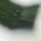 沧海登峰砺意志,中考逐梦展风华——沧海中队大罗山远足暨中考百日誓师活动小记 第61张 沧海登峰砺意志,中考逐梦展风华——沧海中队大罗山远足暨中考百日誓师活动小记 第61张