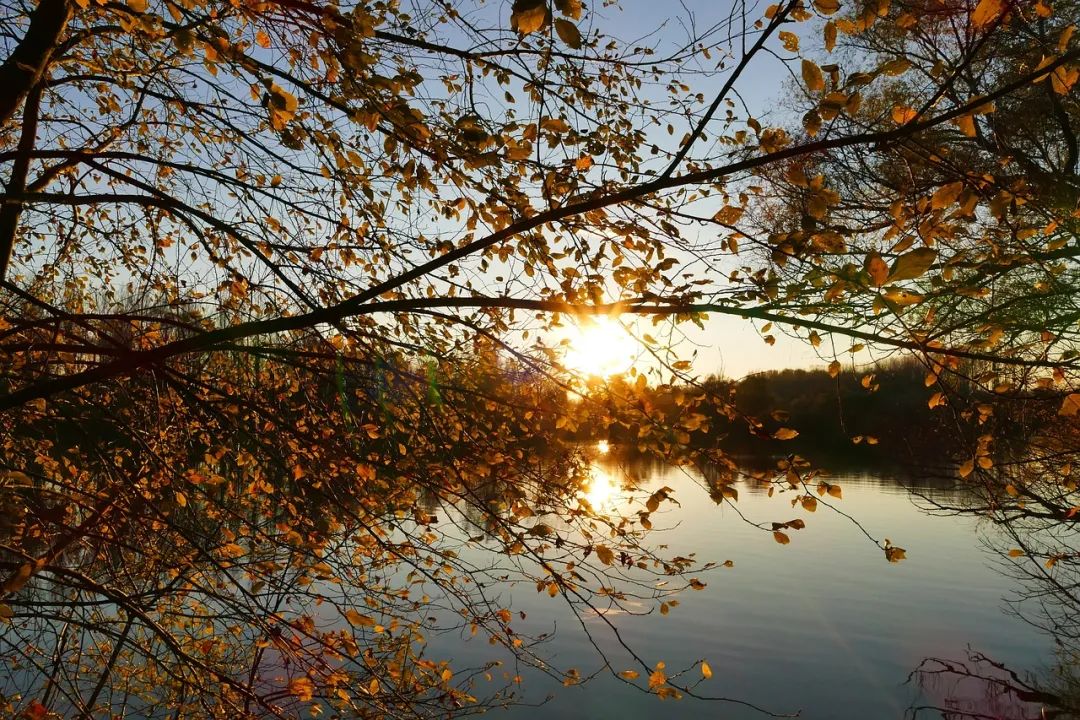 中考一轮复习诗词鉴赏比较阅读(七年级上) 第6张 中考一轮复习诗词鉴赏比较阅读(七年级上) 第6张