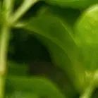 沧海登峰砺意志,中考逐梦展风华——沧海中队大罗山远足暨中考百日誓师活动小记 第52张 沧海登峰砺意志,中考逐梦展风华——沧海中队大罗山远足暨中考百日誓师活动小记 第52张