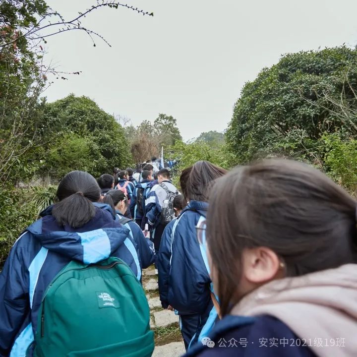 沧海登峰砺意志,中考逐梦展风华——沧海中队大罗山远足暨中考百日誓师活动小记 第47张 沧海登峰砺意志,中考逐梦展风华——沧海中队大罗山远足暨中考百日誓师活动小记 第47张