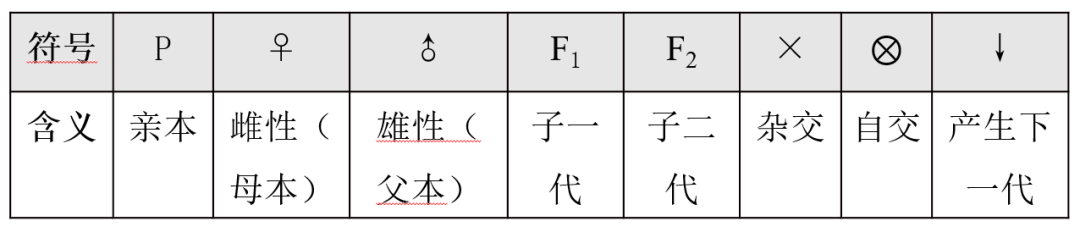 [高考生物专题复习PPT】2024届高考生物二轮复习课件——专题一遗传规律 第1张 [高考生物专题复习PPT】2024届高考生物二轮复习课件——专题一遗传规律 第1张