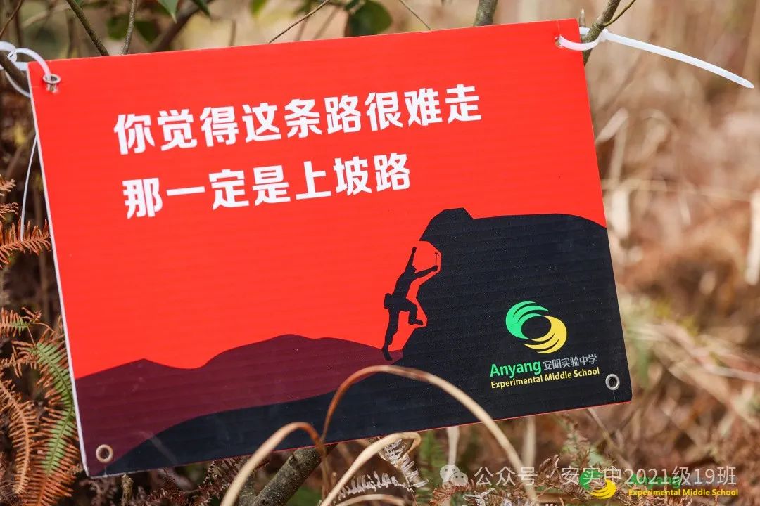 沧海登峰砺意志,中考逐梦展风华——沧海中队大罗山远足暨中考百日誓师活动小记 第75张 沧海登峰砺意志,中考逐梦展风华——沧海中队大罗山远足暨中考百日誓师活动小记 第75张