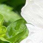 沧海登峰砺意志,中考逐梦展风华——沧海中队大罗山远足暨中考百日誓师活动小记 第56张 沧海登峰砺意志,中考逐梦展风华——沧海中队大罗山远足暨中考百日誓师活动小记 第56张