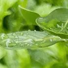 沧海登峰砺意志,中考逐梦展风华——沧海中队大罗山远足暨中考百日誓师活动小记 第50张 沧海登峰砺意志,中考逐梦展风华——沧海中队大罗山远足暨中考百日誓师活动小记 第50张