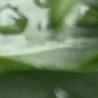 沧海登峰砺意志,中考逐梦展风华——沧海中队大罗山远足暨中考百日誓师活动小记 第54张 沧海登峰砺意志,中考逐梦展风华——沧海中队大罗山远足暨中考百日誓师活动小记 第54张