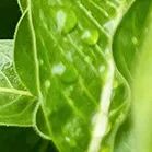 沧海登峰砺意志,中考逐梦展风华——沧海中队大罗山远足暨中考百日誓师活动小记 第65张 沧海登峰砺意志,中考逐梦展风华——沧海中队大罗山远足暨中考百日誓师活动小记 第65张