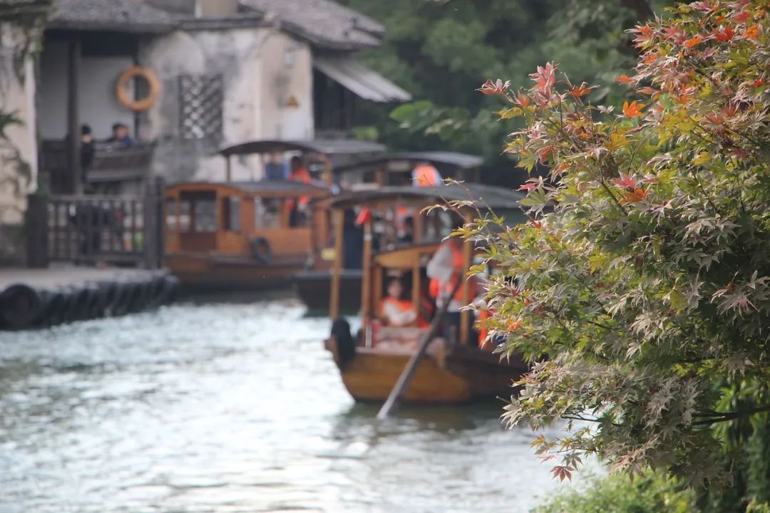 中考一轮复习诗词鉴赏比较阅读(七年级上) 第4张 中考一轮复习诗词鉴赏比较阅读(七年级上) 第4张