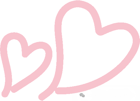 沧海登峰砺意志,中考逐梦展风华——沧海中队大罗山远足暨中考百日誓师活动小记 第181张 沧海登峰砺意志,中考逐梦展风华——沧海中队大罗山远足暨中考百日誓师活动小记 第181张