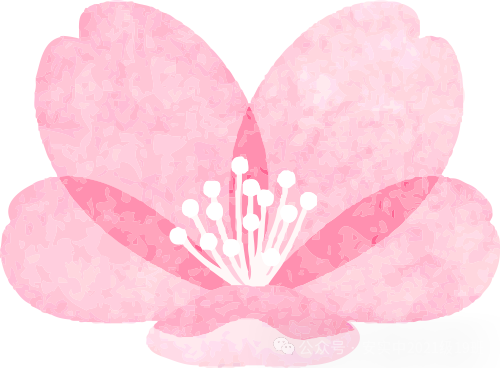 沧海登峰砺意志,中考逐梦展风华——沧海中队大罗山远足暨中考百日誓师活动小记 第122张 沧海登峰砺意志,中考逐梦展风华——沧海中队大罗山远足暨中考百日誓师活动小记 第122张