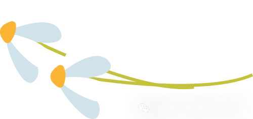 沧海登峰砺意志,中考逐梦展风华——沧海中队大罗山远足暨中考百日誓师活动小记 第182张 沧海登峰砺意志,中考逐梦展风华——沧海中队大罗山远足暨中考百日誓师活动小记 第182张