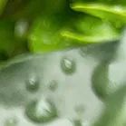 沧海登峰砺意志,中考逐梦展风华——沧海中队大罗山远足暨中考百日誓师活动小记 第53张 沧海登峰砺意志,中考逐梦展风华——沧海中队大罗山远足暨中考百日誓师活动小记 第53张