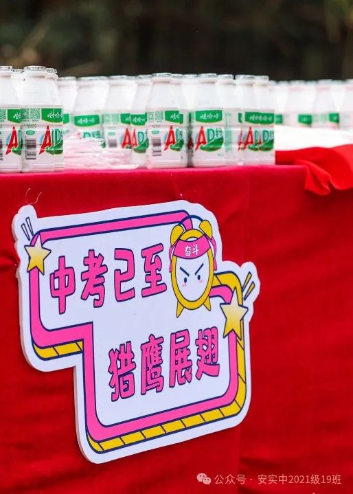 沧海登峰砺意志,中考逐梦展风华——沧海中队大罗山远足暨中考百日誓师活动小记 第79张 沧海登峰砺意志,中考逐梦展风华——沧海中队大罗山远足暨中考百日誓师活动小记 第79张