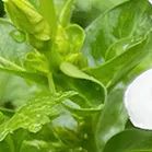 沧海登峰砺意志,中考逐梦展风华——沧海中队大罗山远足暨中考百日誓师活动小记 第57张 沧海登峰砺意志,中考逐梦展风华——沧海中队大罗山远足暨中考百日誓师活动小记 第57张