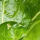 沧海登峰砺意志,中考逐梦展风华——沧海中队大罗山远足暨中考百日誓师活动小记 第64张 沧海登峰砺意志,中考逐梦展风华——沧海中队大罗山远足暨中考百日誓师活动小记 第64张