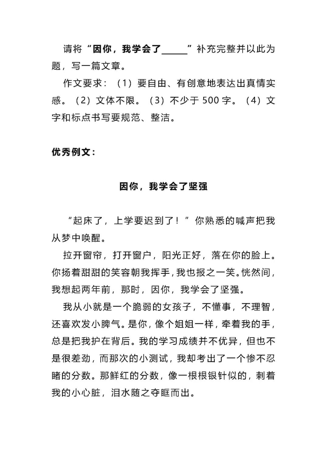 【中考作文】2024中考语文作文押题:【励志拼搏类】(写作指导+范文10篇,可打印)电子版word 免费下载 第6张 【中考作文】2024中考语文作文押题:【励志拼搏类】(写作指导+范文10篇,可打印)电子版word 免费下载 第6张