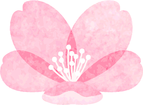 点滴记心头,从容迎中考 第4张 点滴记心头,从容迎中考 第4张
