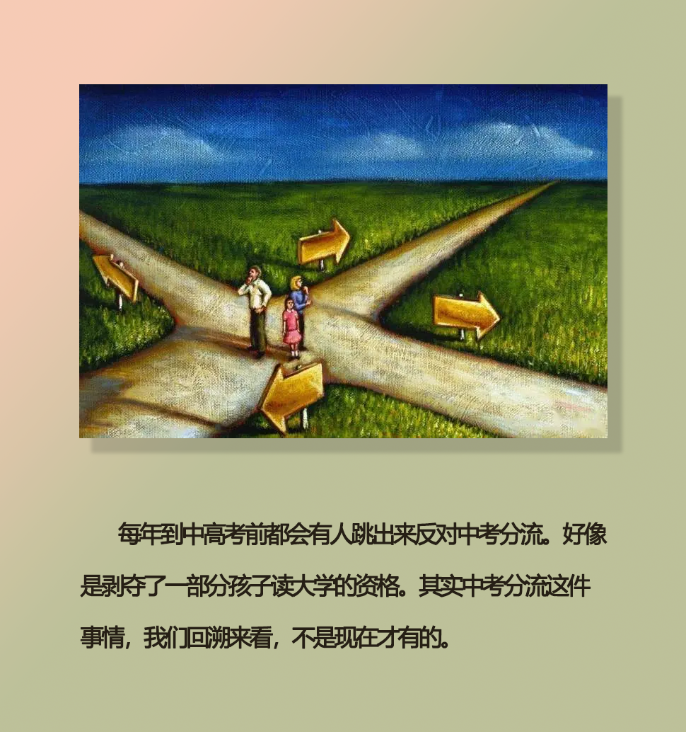 中考不分流,对那些“读不进书”的孩子是极其残忍的 第2张 中考不分流,对那些“读不进书”的孩子是极其残忍的 第2张