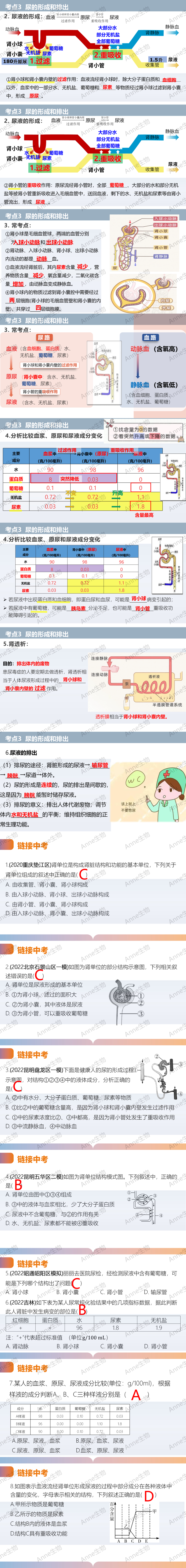 中考复习课件:人体内废物的排出 第2张 中考复习课件:人体内废物的排出 第2张