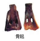 广东省德庆县德庆中学2024年中考第一轮复习中古史板块测试卷 第9张 广东省德庆县德庆中学2024年中考第一轮复习中古史板块测试卷 第9张