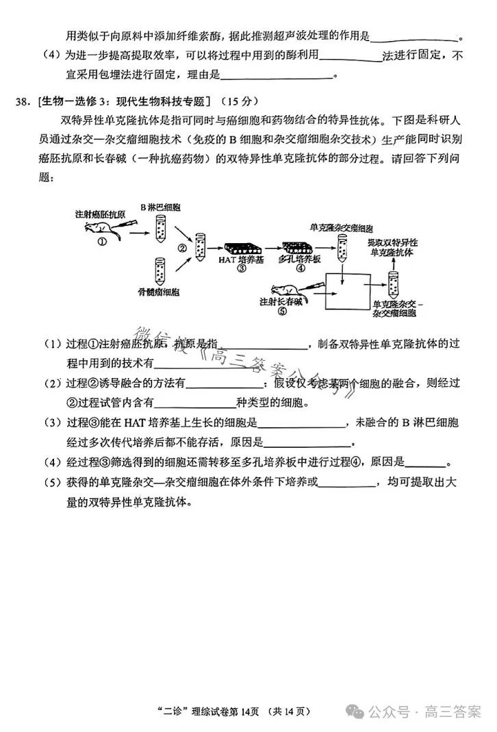 【南充二诊】南充市2024届高考适应性考试(二诊)+答案解析 第50张