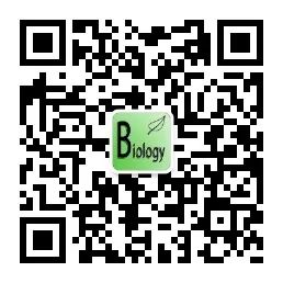 小中考复习课件7-----初一下绿色植物的光合作用 第30张 小中考复习课件7-----初一下绿色植物的光合作用 第30张