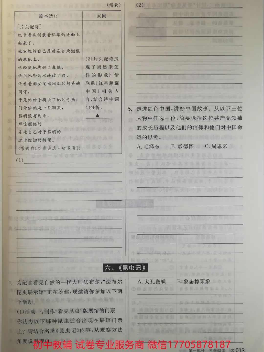 2024全品中考 复习方案 语文 第90张