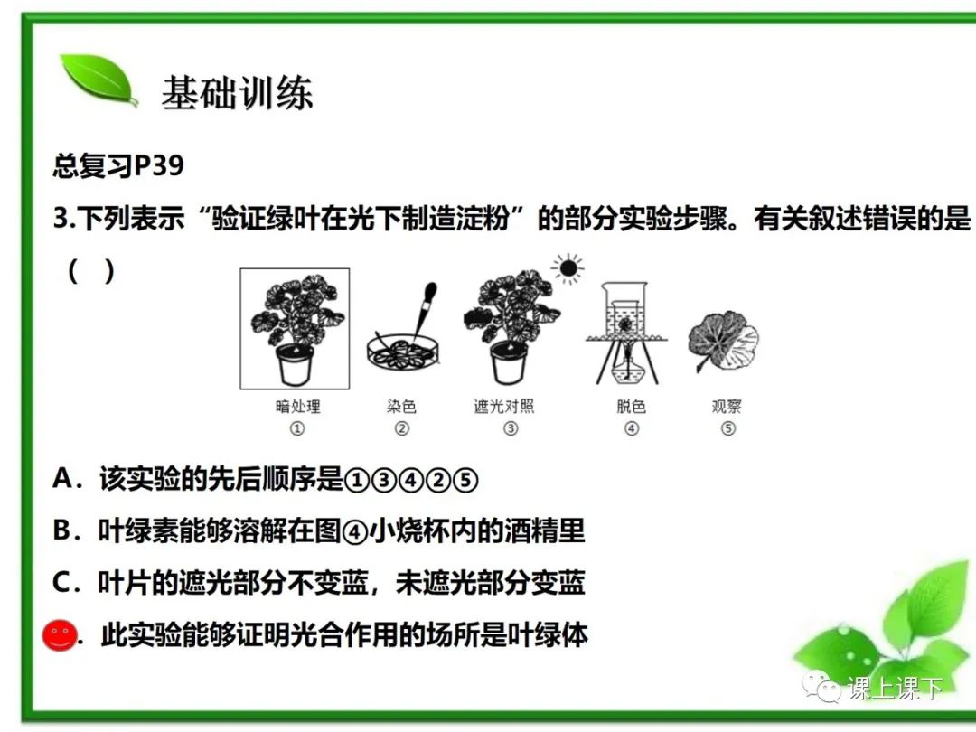 小中考复习课件7-----初一下绿色植物的光合作用 第25张