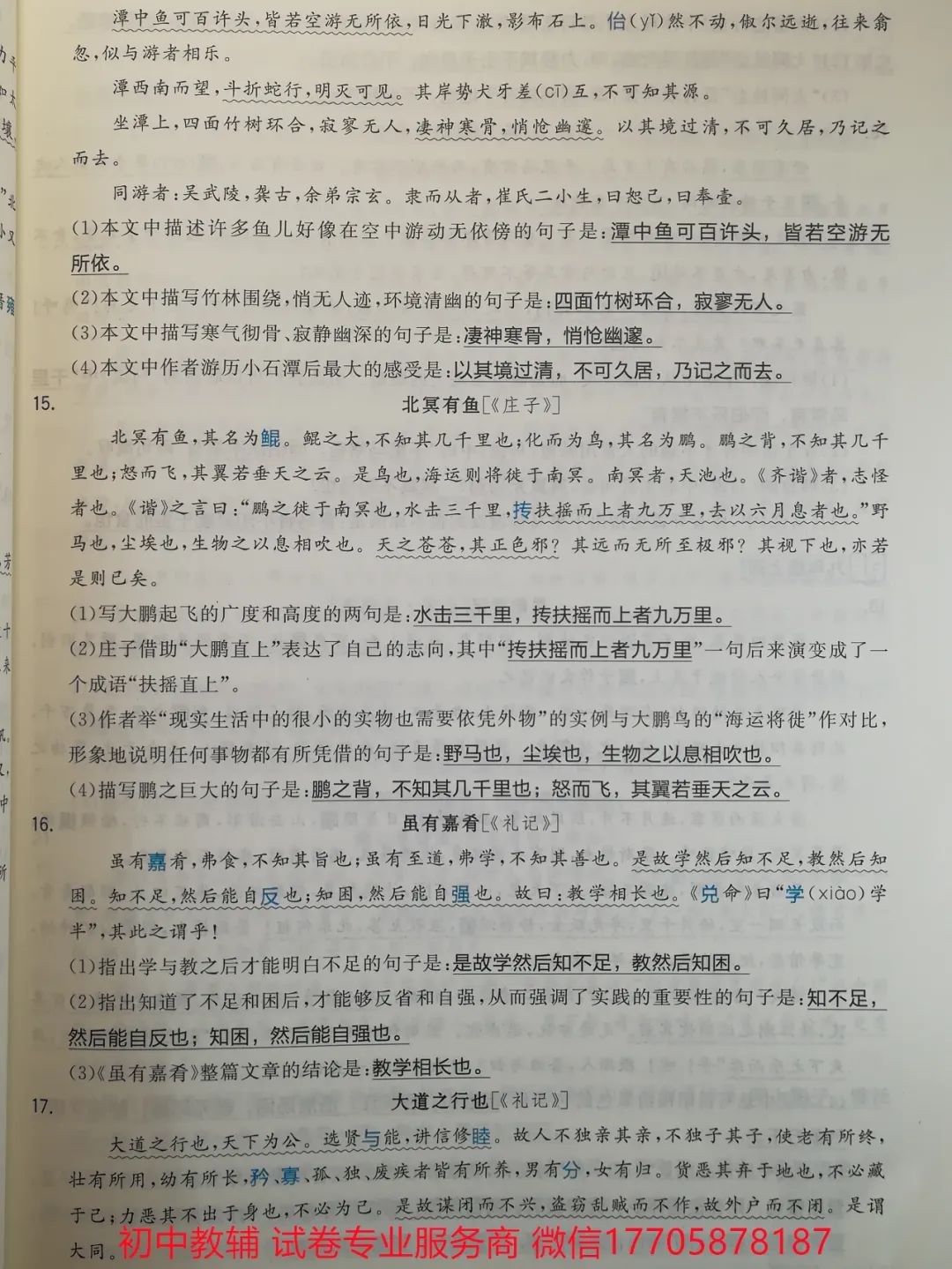 2024全品中考 复习方案 语文 第34张
