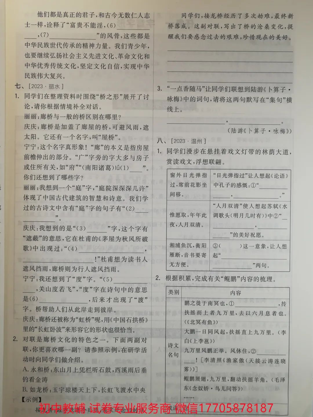 2024全品中考 复习方案 语文 第116张