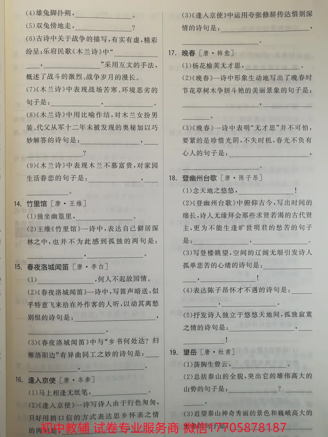2024全品中考 复习方案 语文 第46张