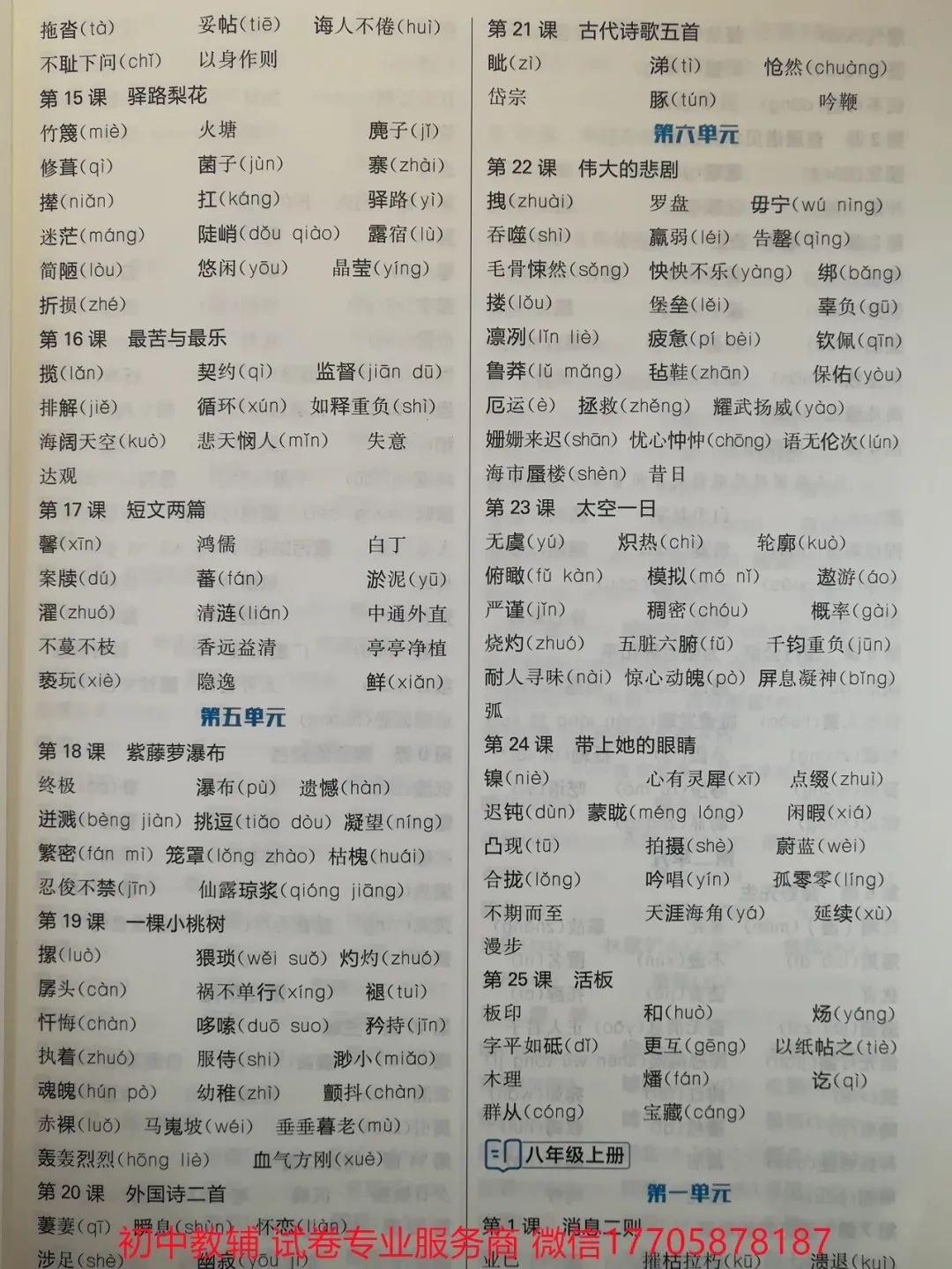 2024全品中考 复习方案 语文 第10张