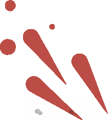 株洲2023年数学中考真题 第8张