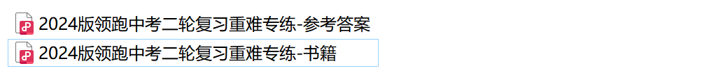 2024版领跑中考数学二轮复习重难专练 第1张