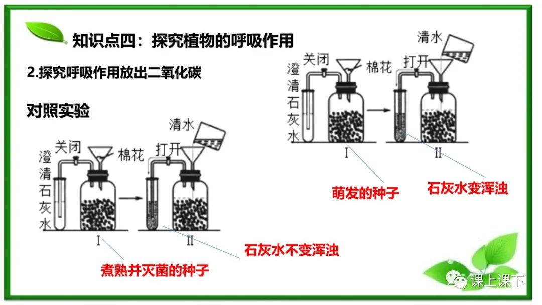 小中考复习课件8-----初一下绿色植物的呼吸作用 第10张