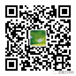 1. 作文升格:中考记叙文写作例说 第9张 1. 作文升格:中考记叙文写作例说 第9张
