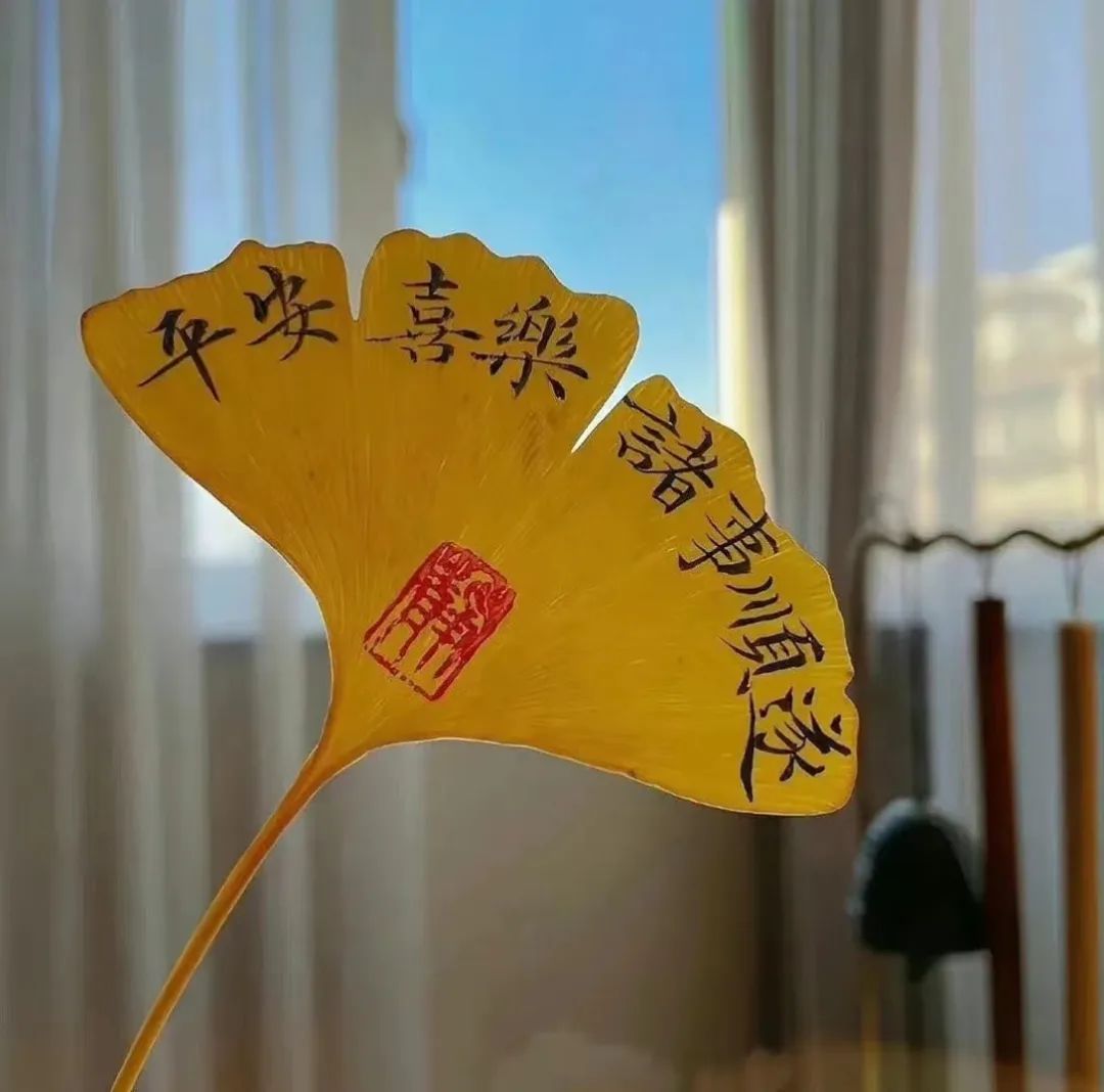 高考梦之声 | 与过去的自己对话 第6张 高考梦之声 | 与过去的自己对话 第6张