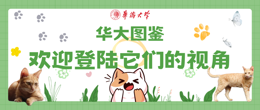 高考快讯 | 华侨大学2023年天津市各专业录取分数线 第19张 高考快讯 | 华侨大学2023年天津市各专业录取分数线 第19张
