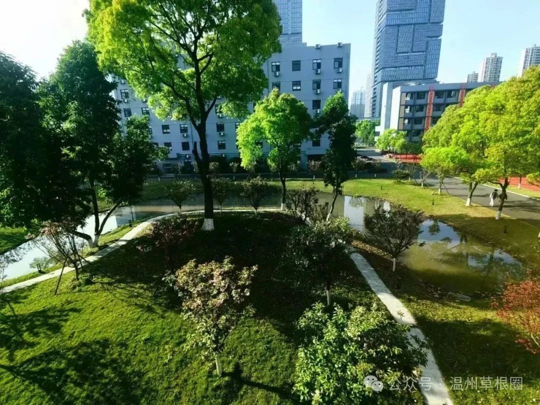 中考未到!某校家委带头作妖? 第4张