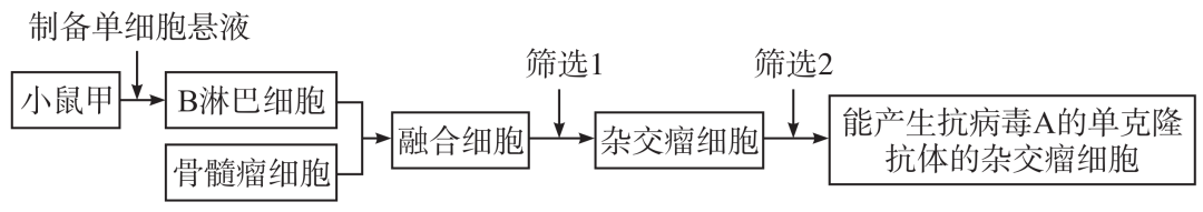 【高考真题】2020年全国Ⅰ卷生物试题 第3张