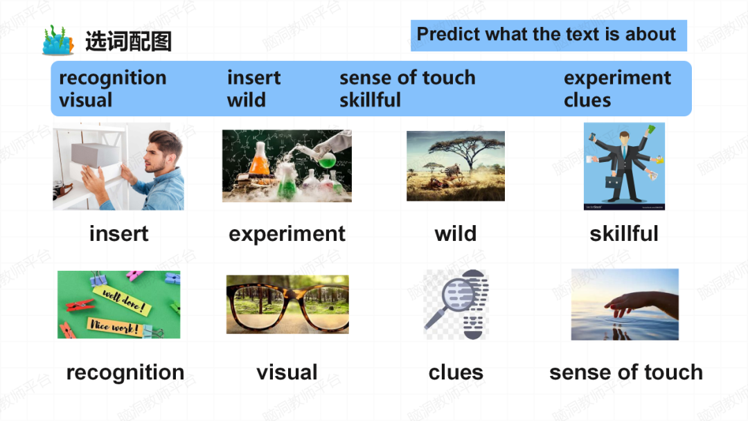 2024年高考说明文抢分课件: 用3步法|鱼骨法|词汇复现巩固, 克服最难的阅读题! 第20张 2024年高考说明文抢分课件: 用3步法|鱼骨法|词汇复现巩固, 克服最难的阅读题! 第20张