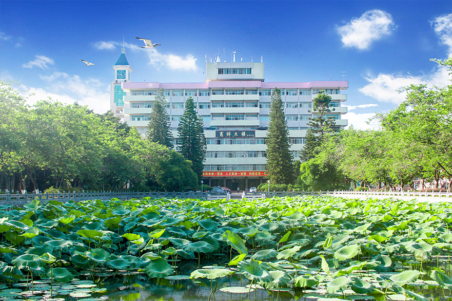 春季高考“3+证书”专科系列 | 嘉应学院2024年春季高考招生章程 第76张