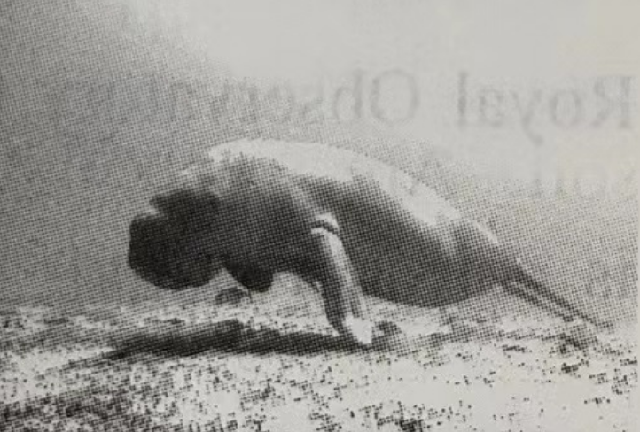 中考时文阅读练习(197)---痛心!儒艮在中国功能性灭绝 第1张