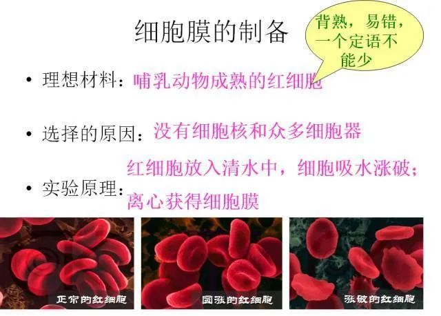 高考生物:高频考点总结,直观又详细! 第8张