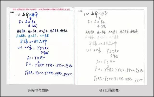 高考“电脑阅卷”现场照片曝光,这些细节,从现在起你一定要注意! 第3张